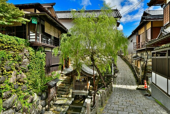 Day Trip for Shirakawago ,Takayama & gujo hachiman from Nagoya - Price and what $62.05 really buys you