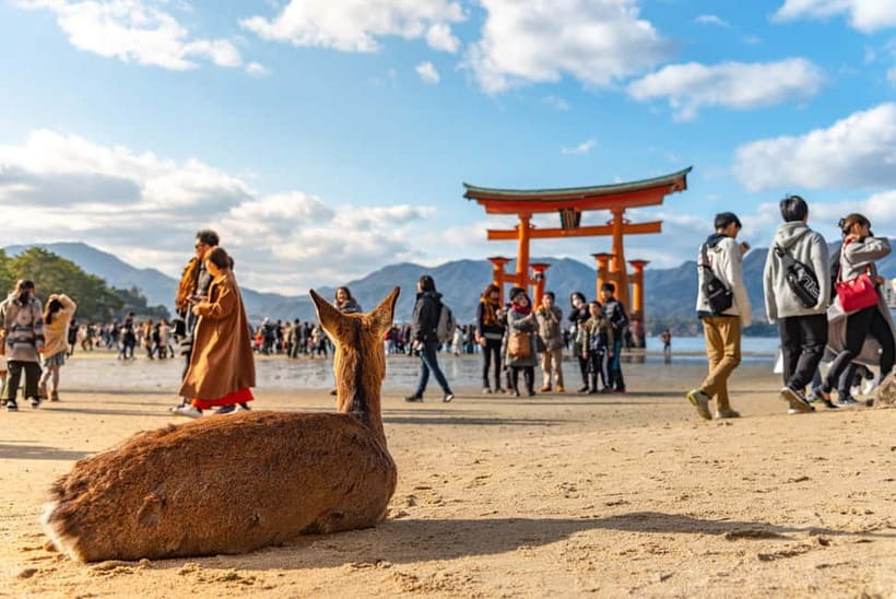Day Trip to Hiroshima & Miyajima with Itsukushima Shrine - Why Miyajima and Hiroshima fit together in one day
