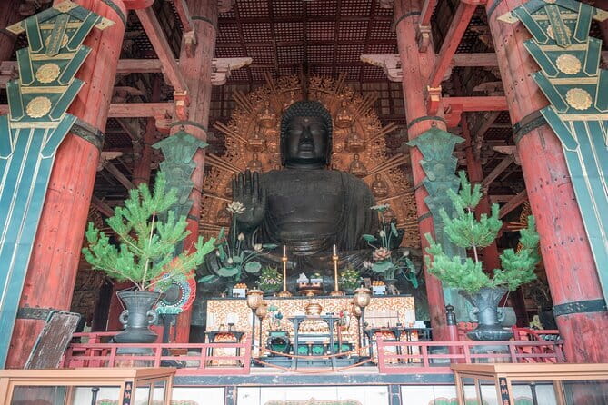 Discover Ancient Nara: Private Car Tour from Kyoto or Osaka - Why a private car day trip to Nara makes sense