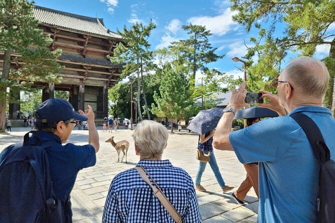 Discover Ancient Nara: Private Car Tour from Kyoto or Osaka - Mt. Wakakusa: deer at the viewpoint and photo timing that pays off