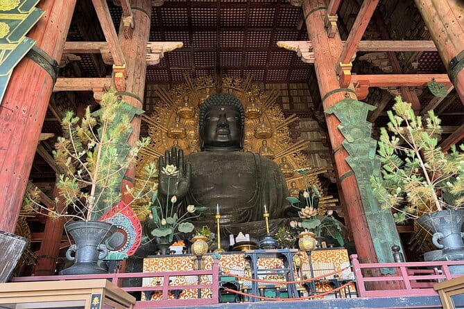 Discover Ancient Nara: Private Car Tour from Kyoto or Osaka - Lunch, optional add-ons, and flexible choices