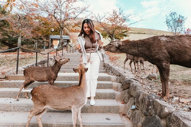 Discover Himeji, Kobe and Nara from Osaka - Key things to know before you go