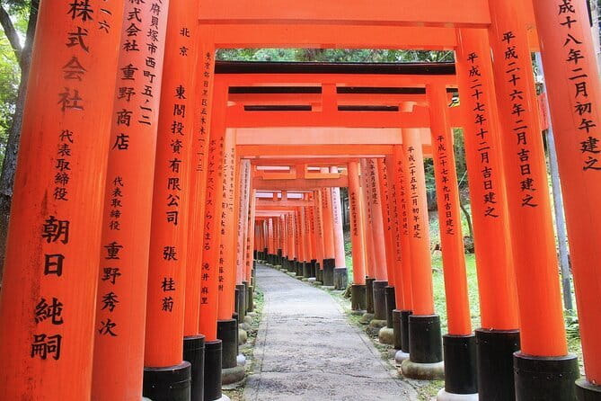Discover Himeji, Kobe and Nara from Osaka - Nara Park and Todai-ji: deer photos plus a ticket choice