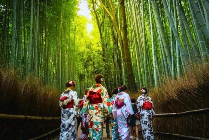 Discover Himeji, Kobe and Nara from Osaka - Price and logistics: is $91 good value for this route?