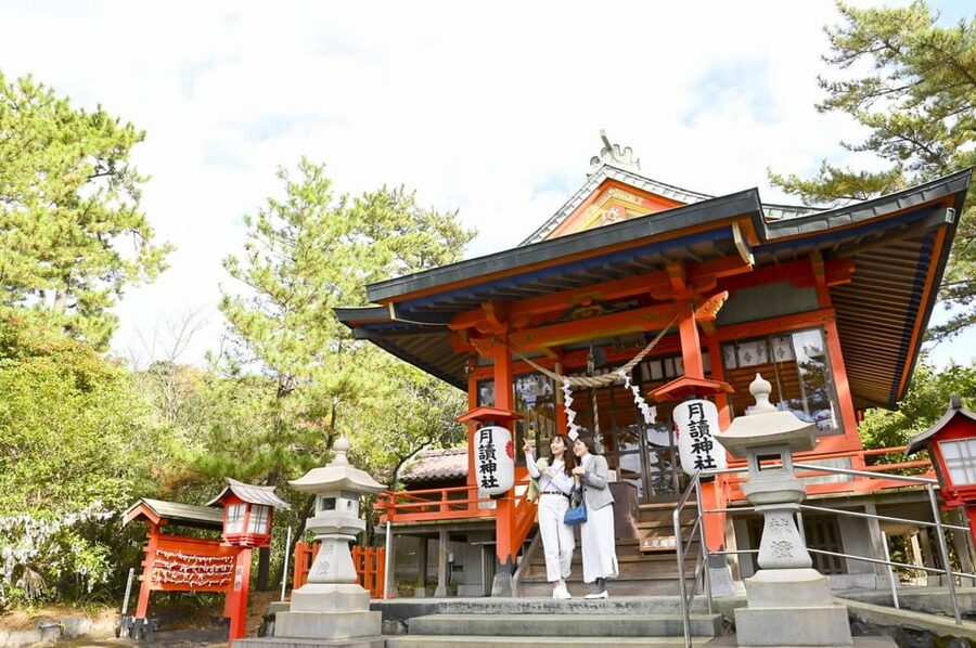 Discover the Wonder of Sakurajima Half Day Tour in Kagoshima - Yunohira Observatory at about 373 m, and why you visit twice