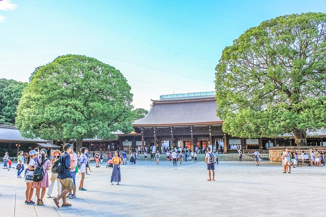 Discover Tokyo, Private Customized Tour with Expert Guides - Stop 1: Meiji Jingu Shrine, your quick greenery reset