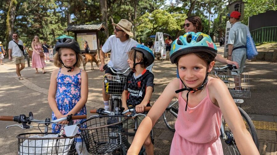 E-Bike Nara Highlights - Todaiji, Knives, Deer, Shrine - Nara Park Deer Feeding: Cookies Included, Etiquette Included Too