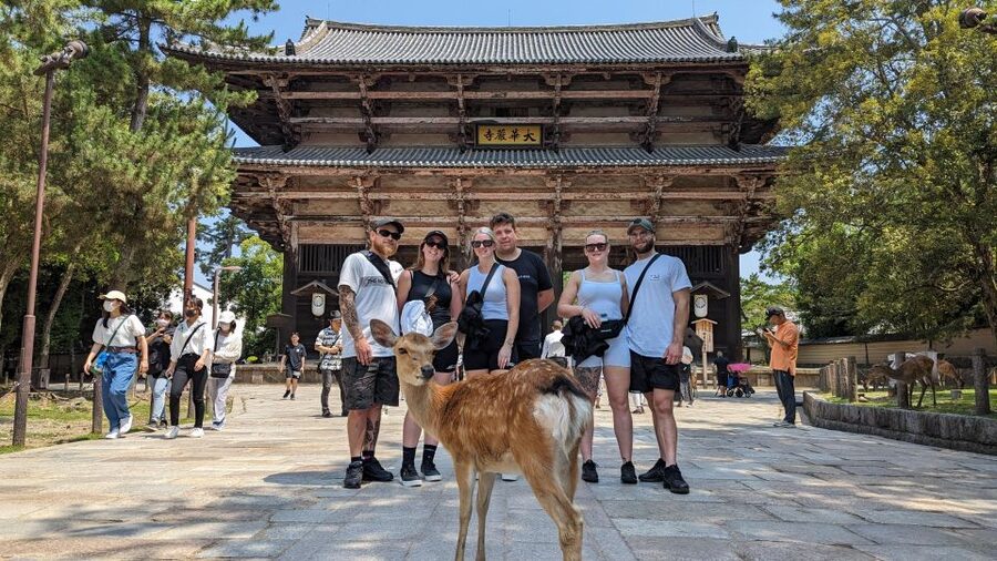 E-Bike Nara Highlights - Todaiji, Knives, Deer, Shrine - Price and Value: Is $90 a Fair Deal for This Much Ground?