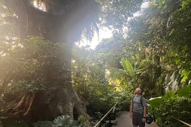 E-Bike Nature Tour in Shuri - Key highlights you’ll feel on the ride