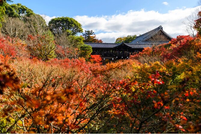 Early Bird E-biking through East Kyoto - Stop 1 to 3: Fushimi Inari, Tofuku-ji, and the Kamogawa river feel