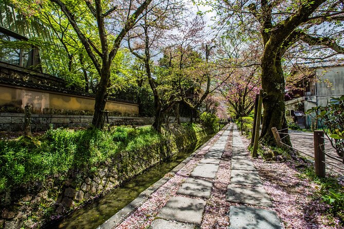 Early Bird E-biking through East Kyoto - Stop 7 and 8: Heian Shrine courtyard, then the backstreets of Gion