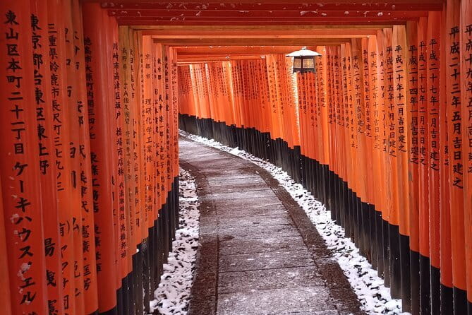 Early Half Day to Kyoto Highlights - Key Points Before You Go
