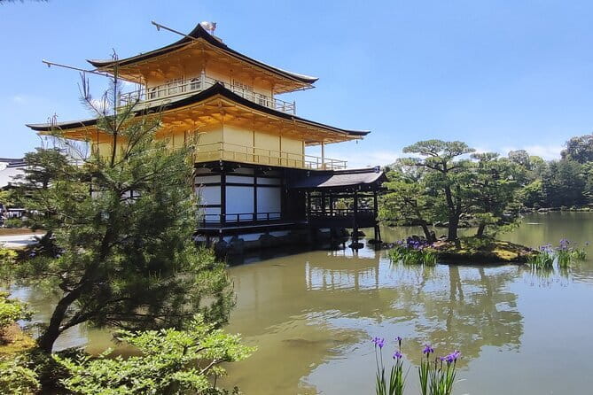 Early Half Day to Kyoto Highlights - Why This 8:00 am Half-Day Works in Kyoto