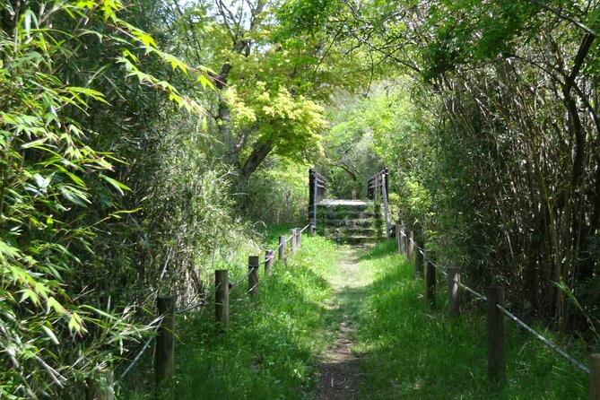 Easygoing Nature Walk in Hakone Tour - Quick hits before you go