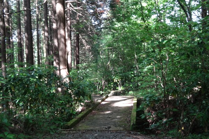 Easygoing Nature Walk in Hakone Tour - Stop 3: Hakone Visitor Center, a quick base map for the trails
