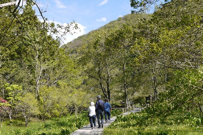 Easygoing Nature Walk in Hakone Tour - How Yoshi-san’s style makes wildlife spotting easier