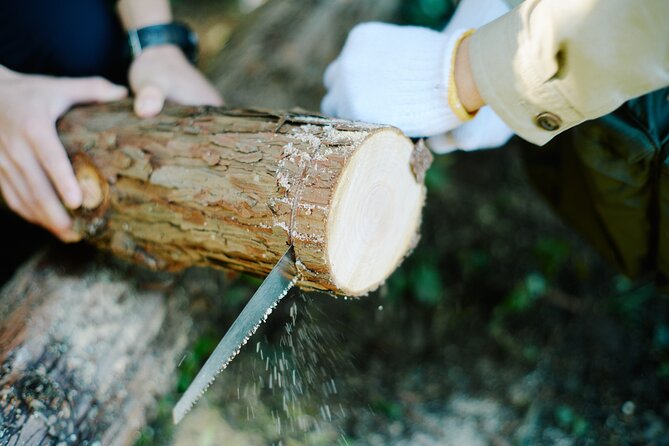 Ecotourism and Woodcraft with a Mountain Artist Near Tokyo - The private-forest walk and forest “quiet time”