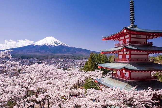 Enjoy Mt. Fuji View and free time shopping at Gotemba Outlets! - Key Points Before You Go