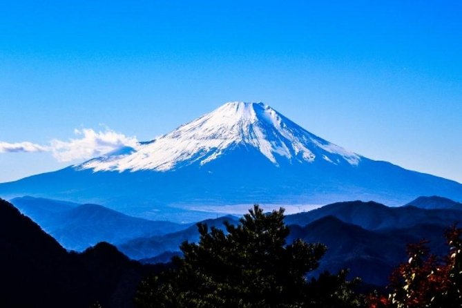 Enjoy Mt. Fuji View and free time shopping at Gotemba Outlets! - A Fuji Day Plan That Feels Like Two Different Kinds of Fun