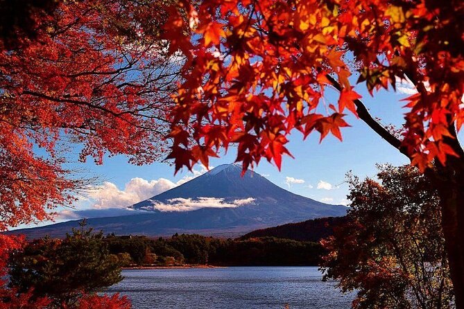 Enjoy Mt. Fuji View and free time shopping at Gotemba Outlets! - Gotemba Premium Outlets, Shopping With Realistic Expectations