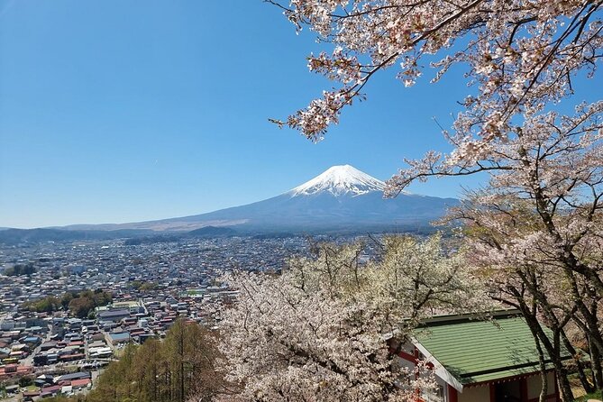 Enjoy Mt. Fuji View and free time shopping at Gotemba Outlets! - Guide Style, Small Details, and Why People Rate This Tour High