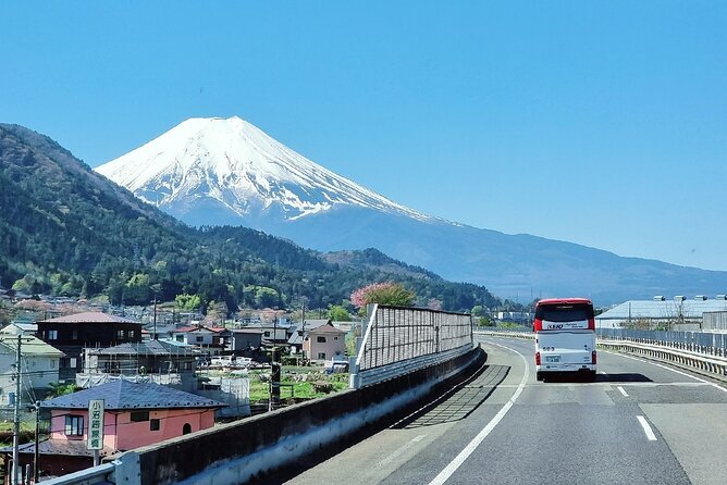 Enjoy Mt. Fuji View and free time shopping at Gotemba Outlets! - Arakura Fuji Sengen Shrine, the 300 Steps Decision