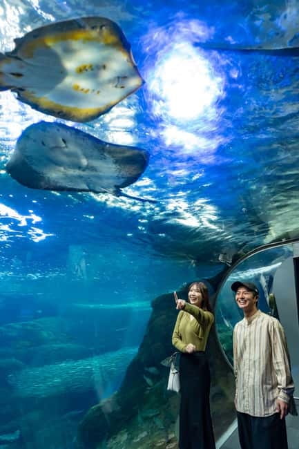 Enoshima Aquarium: Admission Ticket - Key points before you go
