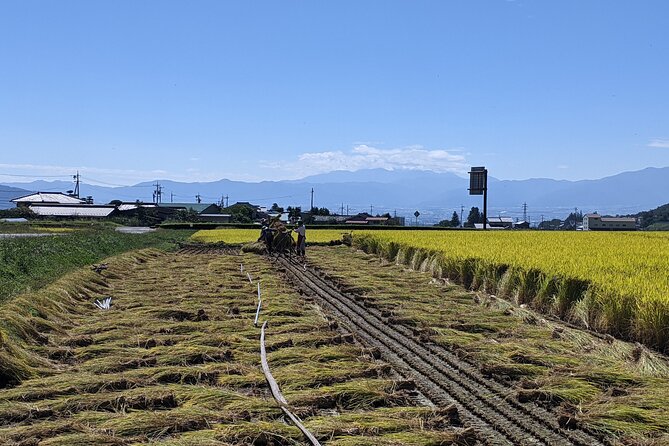eTour de Matsumoto - Electric Bike Tour - The Susuki-gawa River and Yamabe Valley stretch for views and breathing room