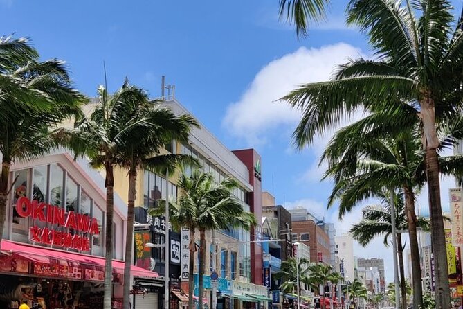 Exclusive Private Full Day Okinawa Island Tour with a Local Guide - Key Points to Know Before You Go