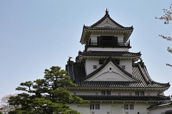 Experience the energy of Kochi: Sunday Market Tour includes Kochi Castle - Key highlights worth your attention