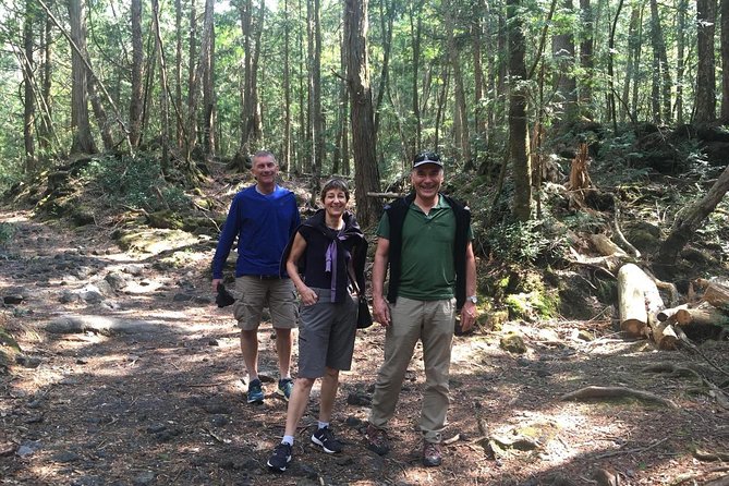 Experience the Stunning Nature of Mt.Fuji - Private Tour - Key Highlights You Actually Feel During This Day
