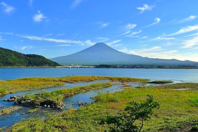 Experience the Stunning Nature of Mt.Fuji - Private Tour - Why the Private Format Feels Worth It (Especially for 7 People)