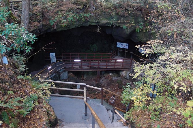 Experience the Stunning Nature of Mt.Fuji - Private Tour - Who This Tour Fits Best