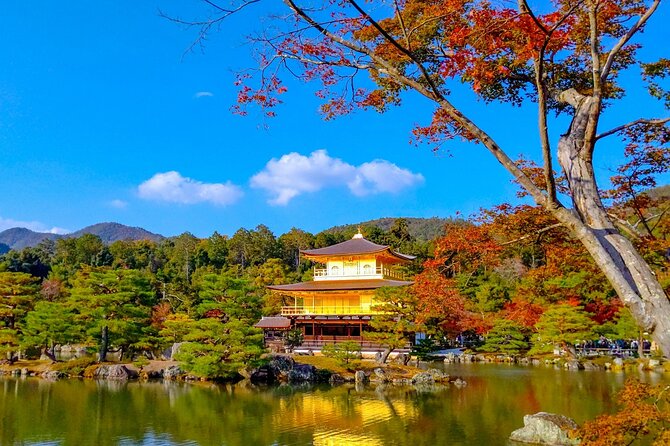 Explore Kyoto | Private Tour - Local English Driver(guide option) - The English driver role: what you are paying for, and what you are not