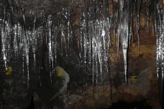 Exploring Mt Fuji Ice Cave and Sea of Trees Forest - Key highlights at a glance