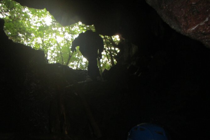 Exploring Mt Fuji Ice Cave and Sea of Trees Forest - Why Mt. Fuji Ice Caves Feel Different From Usual Sightseeing