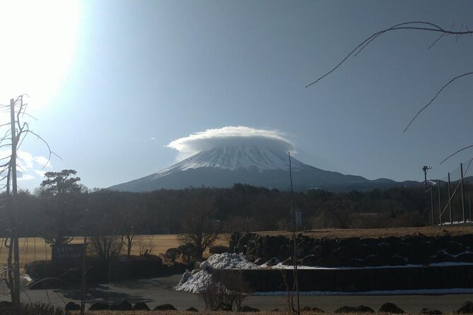 Exploring Mt Fuji Ice Cave and Sea of Trees Forest - Entering the Ice Cave: What to Expect and How to Stay Safe