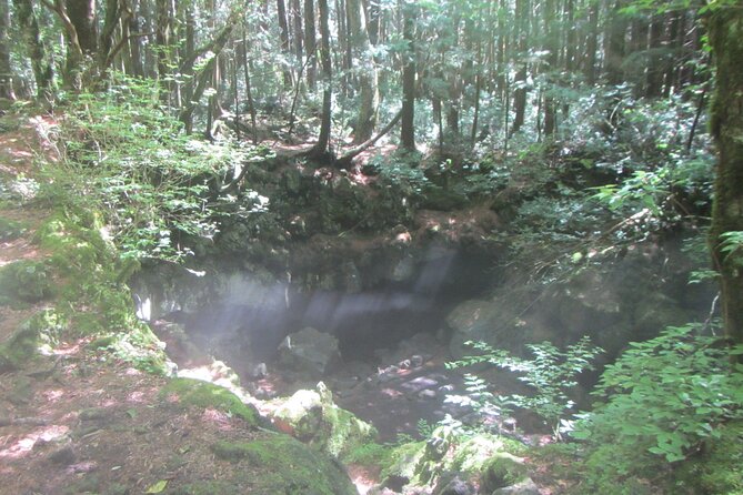 Exploring Mt Fuji Ice Cave and Sea of Trees Forest - What You Actually See: A Clean 3-Hour Flow