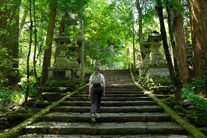 Forest Bathing in Temple and Enjoy onsen with healing power - Lunch at the temple area chaya: a pause that fuels the onsen