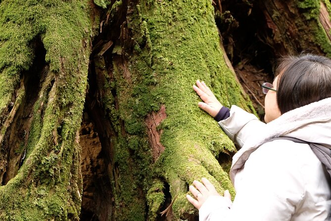 Forest Bathing in Temple and Enjoy onsen with healing power - Yuji Onsen: healing water, recovery time, and calmer minds