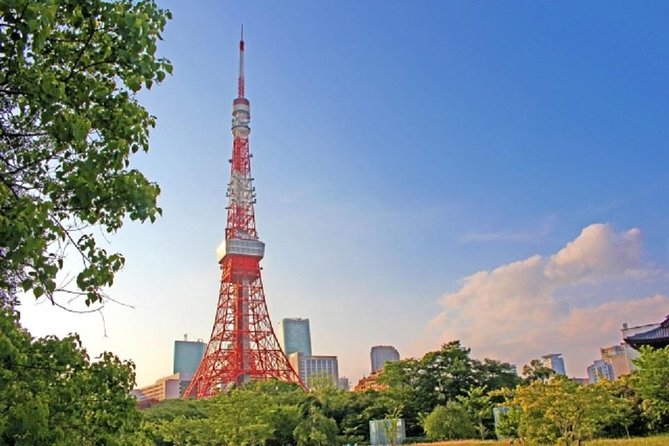 Freely set up plans Guided Private Tours in Tokyo - Why this private Tokyo day feels calmer than DIY