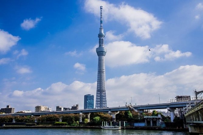 Freely set up plans Guided Private Tours in Tokyo - Tsukiji Jogai Market: your fastest route into Tokyo food culture