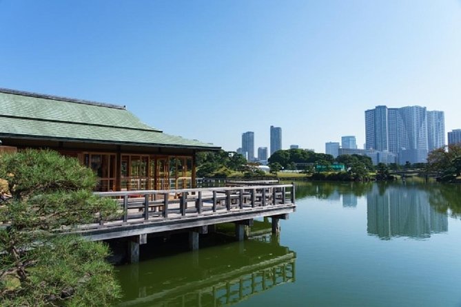 Freely set up plans Guided Private Tours in Tokyo - Skytree (and Tokyo Tower): picking your Tokyo skyline