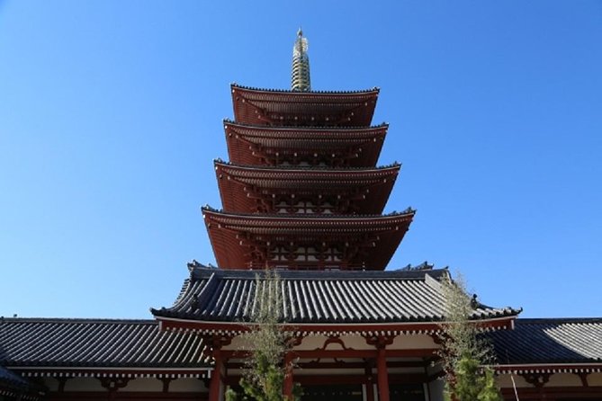 Freely set up plans Guided Private Tours in Tokyo - Ueno Zoo and Shibuya Crossing: animals and a human tide