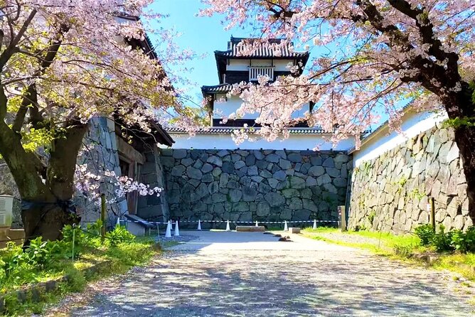 From Fukuoka Kyushu Itoshima Hidden Gems Day Tour - Sakurai Futamigaura and Meoto Iwa: the spiritual rocks by the sea