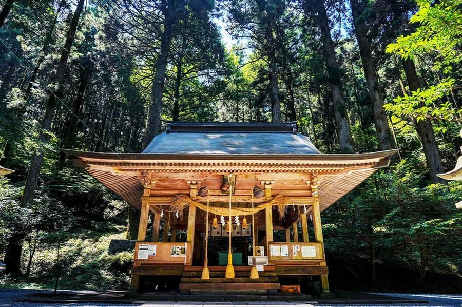 From Fukuoka: Miyazaki, Takachiho Gorge and Shrines Day Tour - Key Takeaways Before You Go