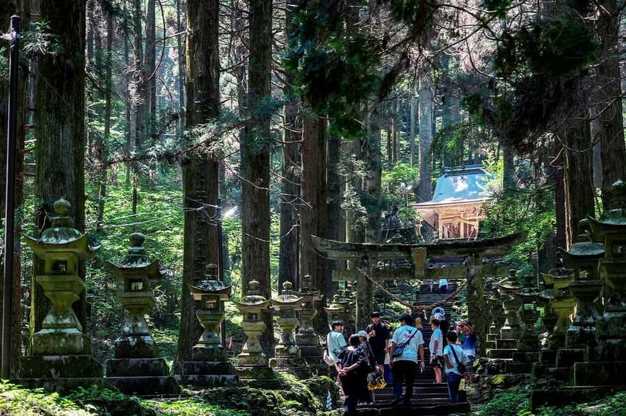 From Fukuoka: Miyazaki, Takachiho Gorge and Shrines Day Tour - Kamishikimi Kumanoimasu Shrine: Lantern Path Magic and Tooriwa Luck