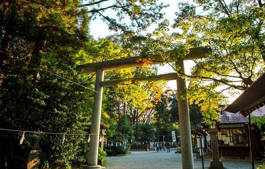From Fukuoka: Miyazaki, Takachiho Gorge and Shrines Day Tour - Shared Group Tour Energy: Multilingual Guides and Quick Pacing