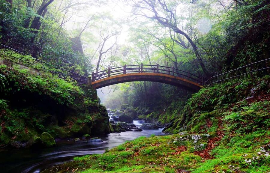 From Fukuoka: Miyazaki, Takachiho Gorge and Shrines Day Tour - Morning Pickup: Lawson Fukuoka Oriental Hotel, Then Off to Miyazaki