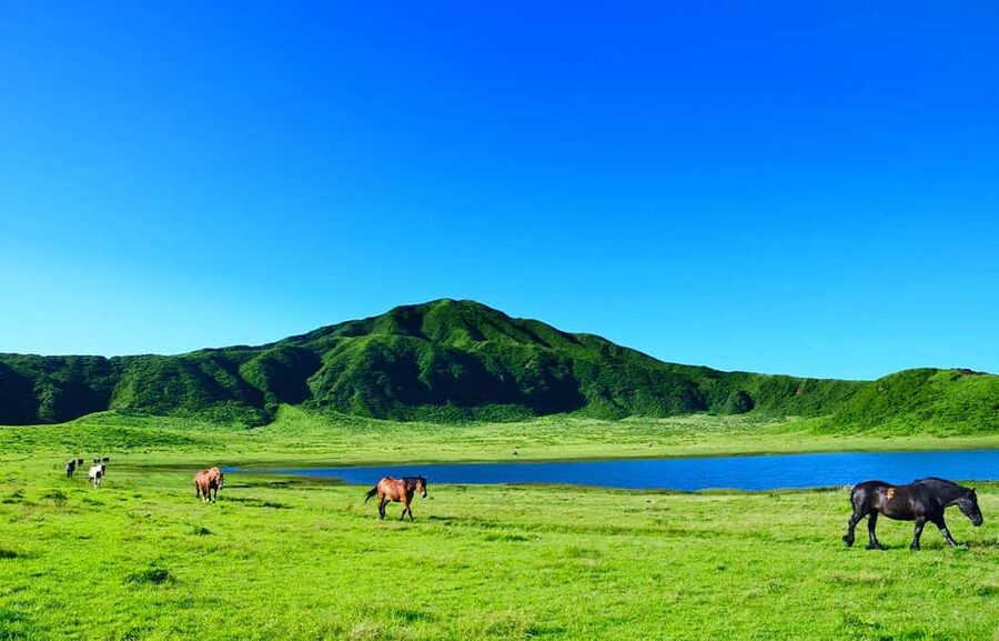 From Fukuoka: Mount Aso, Kurokawa Onsen, and Shrine Tour - Aso Shrine: a calm cultural reset with real age behind it
